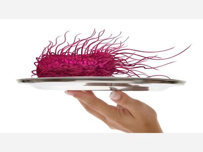 There’s a Salmonella Outbreak Linked to Italian-Style Meats, the CDC Warns