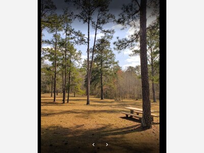 SPEAK OUT!: City Council Unanimously Votes to Close Carver Park on Weekends