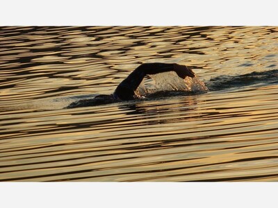 Patch Atlanta reports  GA Mom Swims Across Country For Cancer: Final Lap At Lake Lanier 