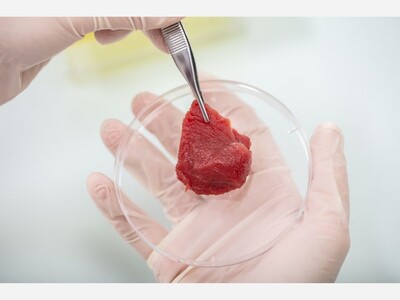 Food Safety and Inspection Service Seeking Comments on Cultured Cell Meat Products