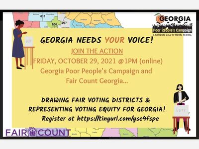 Fair Count: Voting Equity Action