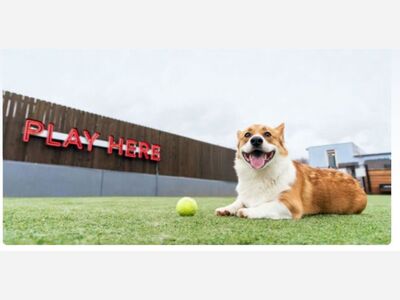 National FETCH Day Celebration