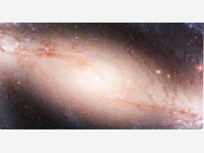 The Solo Vision: Music Under the Stars