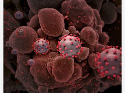 Don't Get It Twisted ... COVID (Coronavirus) is More than a Decade Old and actually originated in the Middle East