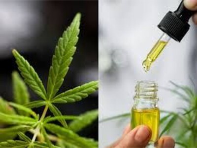 Think You Might Be Closer to Marijuana Legalization in Georgia?