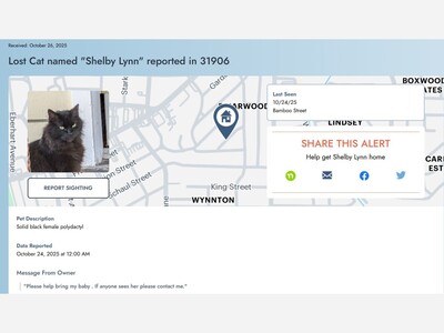 Missing Pet Report 10/26/2025: CAT -  Shelby Lynn